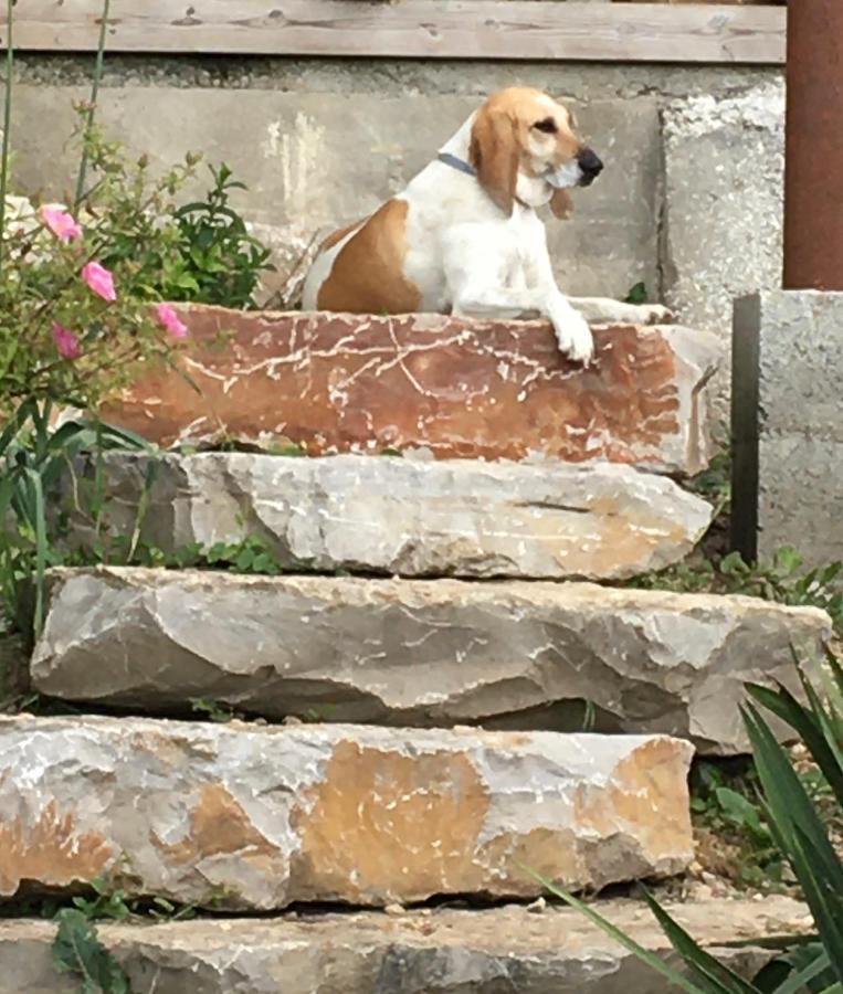 B&B Chez Odile Mirabel  外观 照片